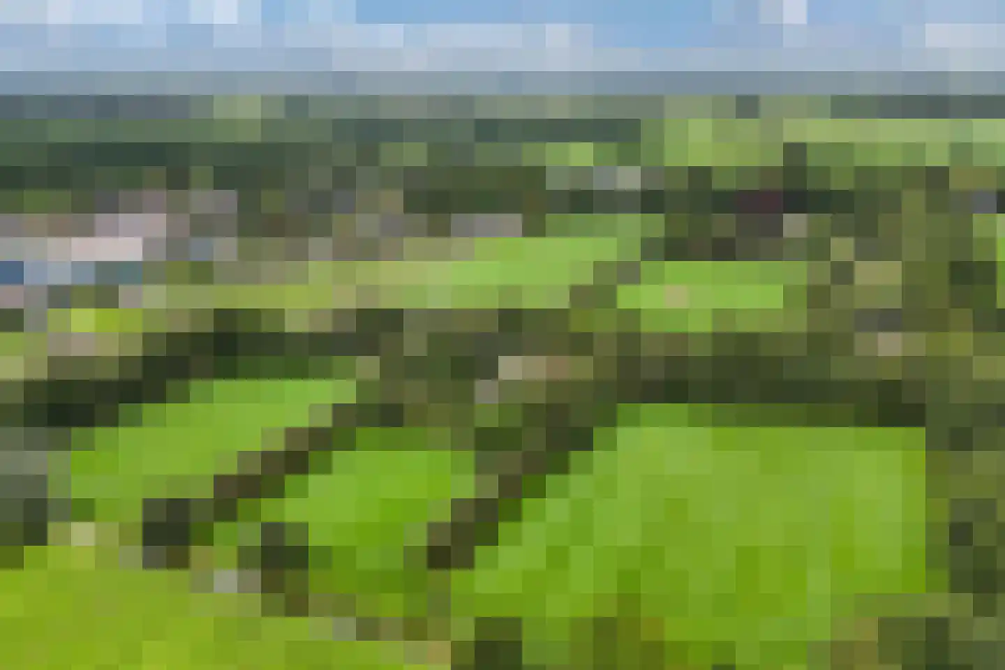 Legeloane 4 Augustinusga thumbnail 60