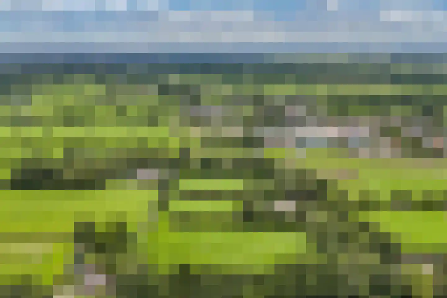 Legeloane 4 Augustinusga thumbnail 61