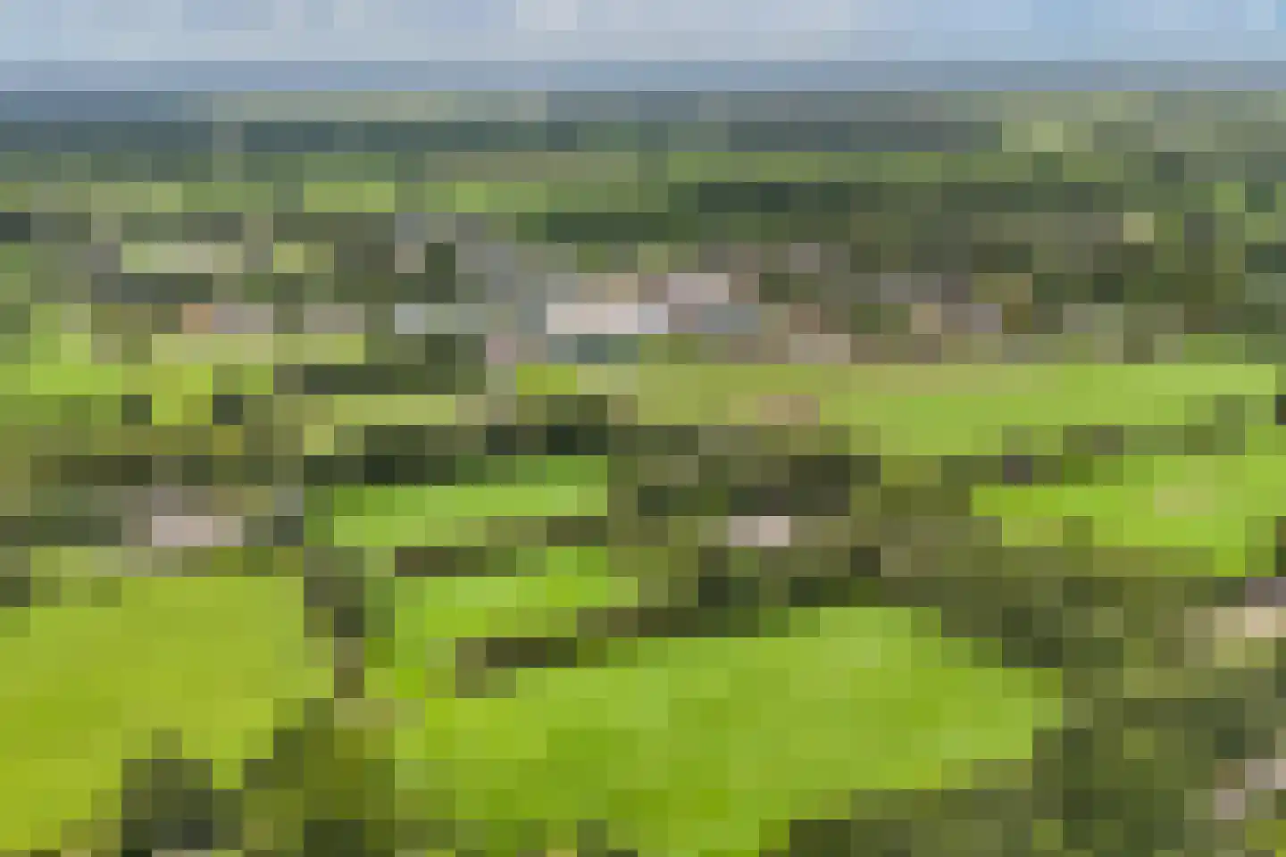 Legeloane 4 Augustinusga thumbnail 62