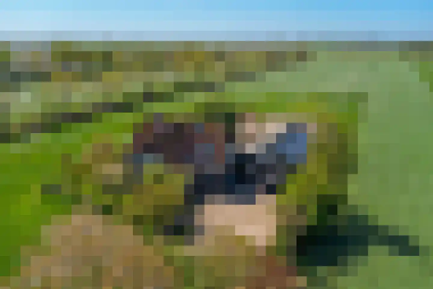 Legemeersterweg 9 Legemeer thumbnail 4