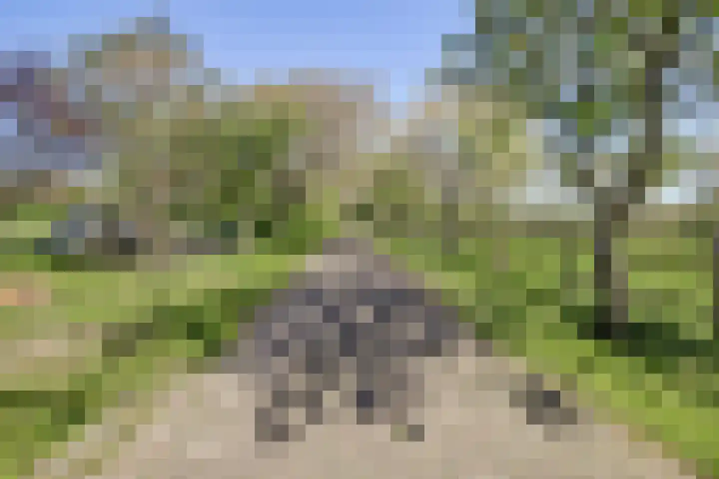 Legemeersterweg 9 Legemeer thumbnail 5