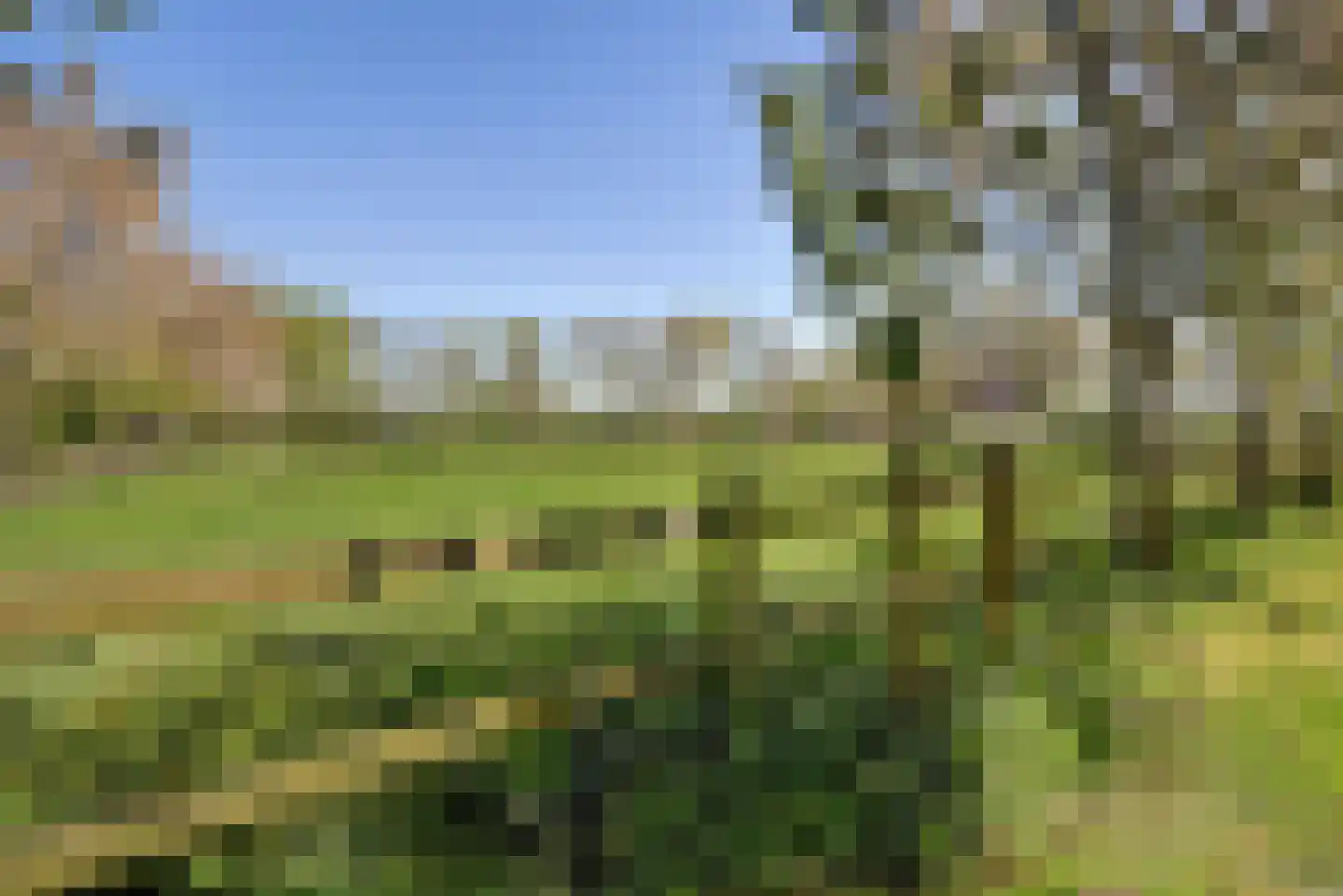 Legemeersterweg 9 Legemeer thumbnail 6