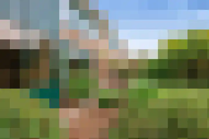 Legerland 55 Koog aan de Zaan thumbnail 13