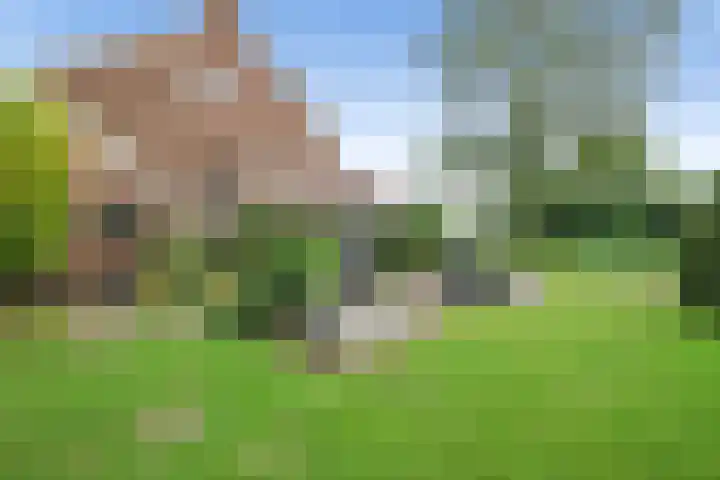 Legerland 55 Koog aan de Zaan thumbnail 15