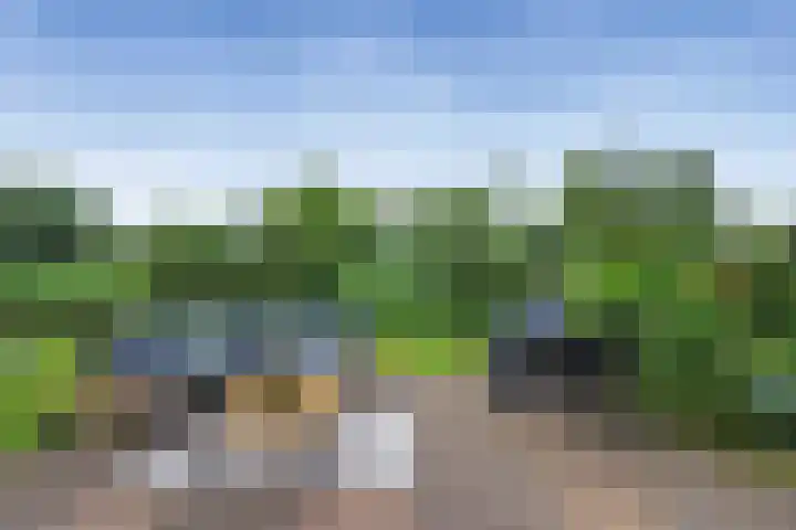 Legerland 55 Koog aan de Zaan thumbnail 16