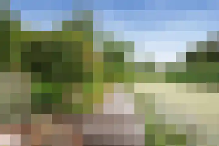 Legerland 55 Koog aan de Zaan thumbnail 18