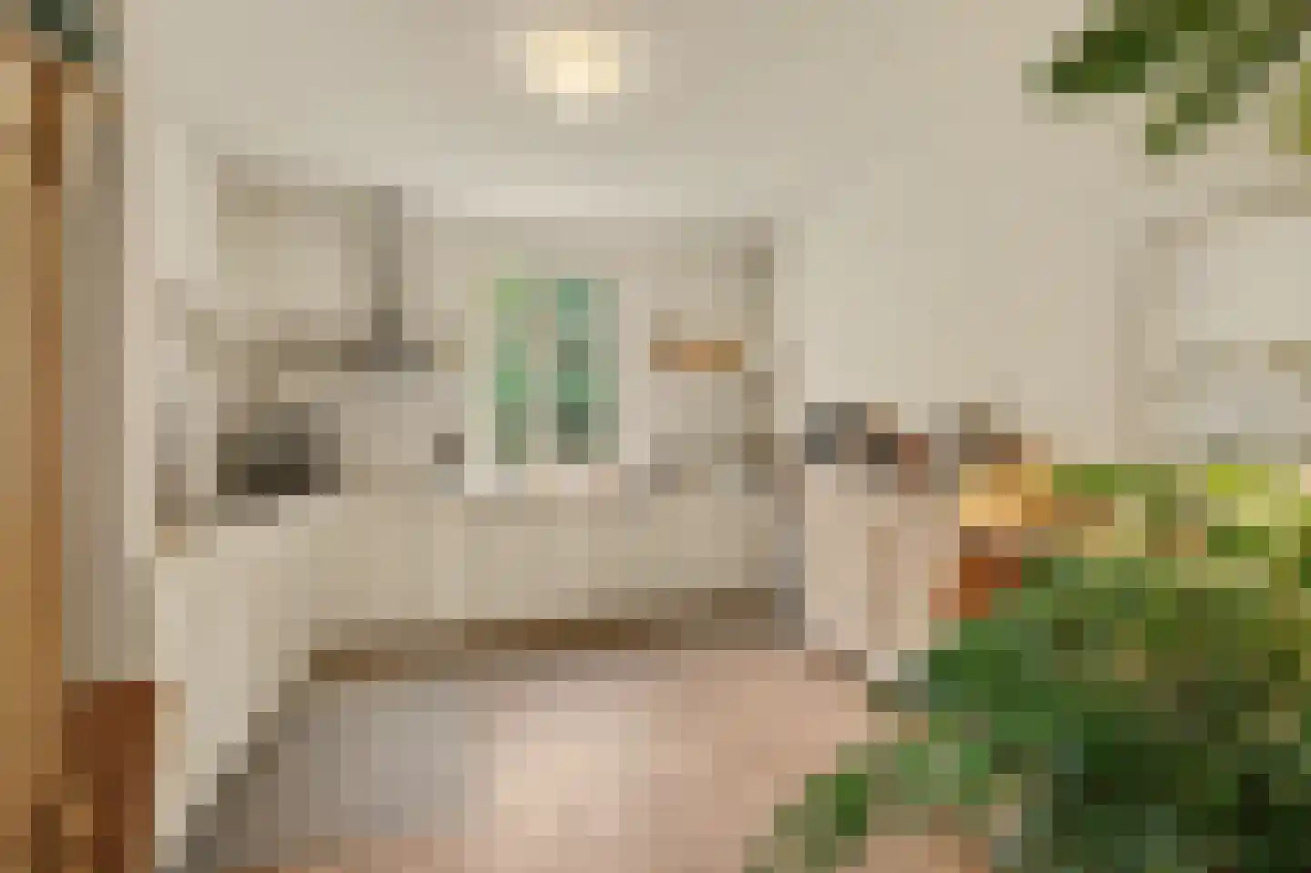 Legert 21 Swolgen thumbnail 13