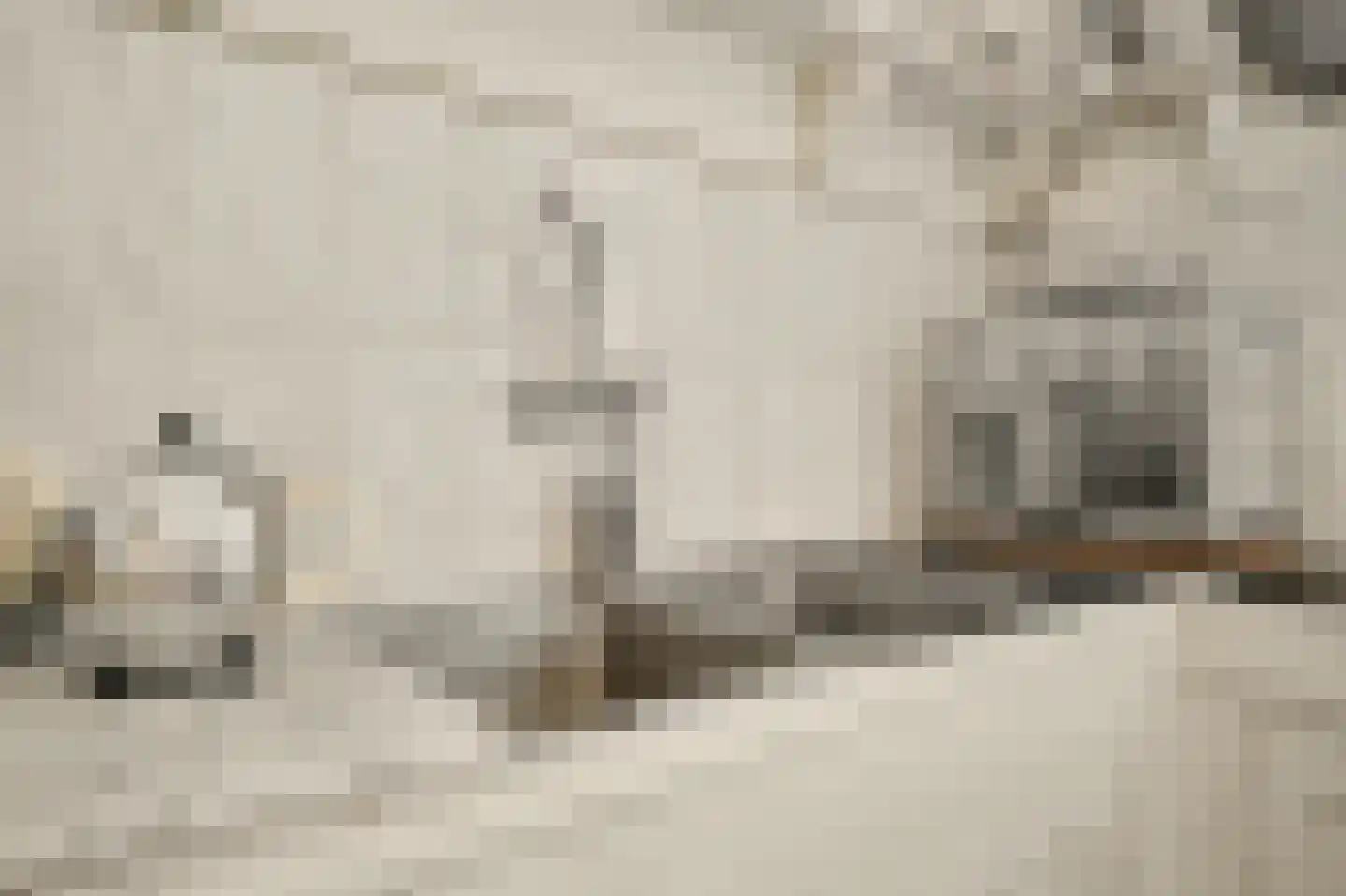 Legert 21 Swolgen thumbnail 14