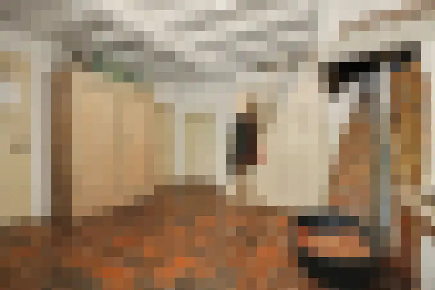 Legert 21 Swolgen thumbnail 18
