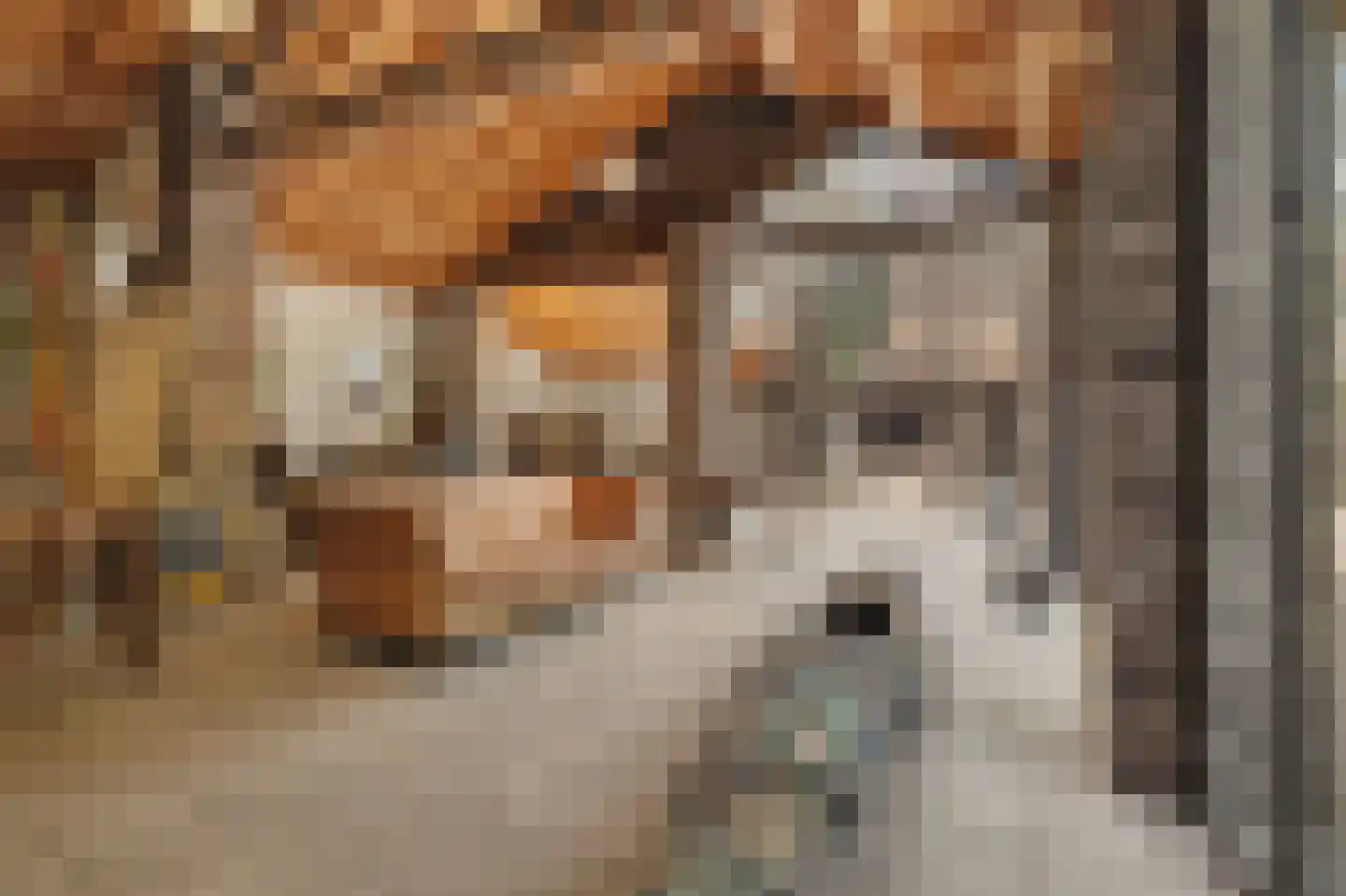 Legert 21 Swolgen thumbnail 19