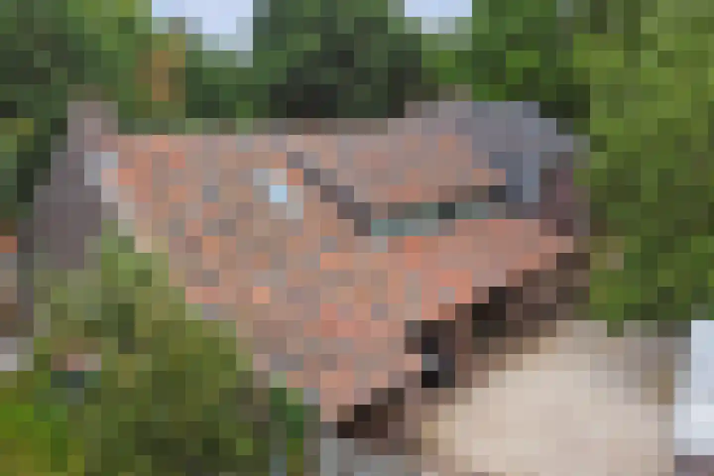 Legert 21 Swolgen foto 2
