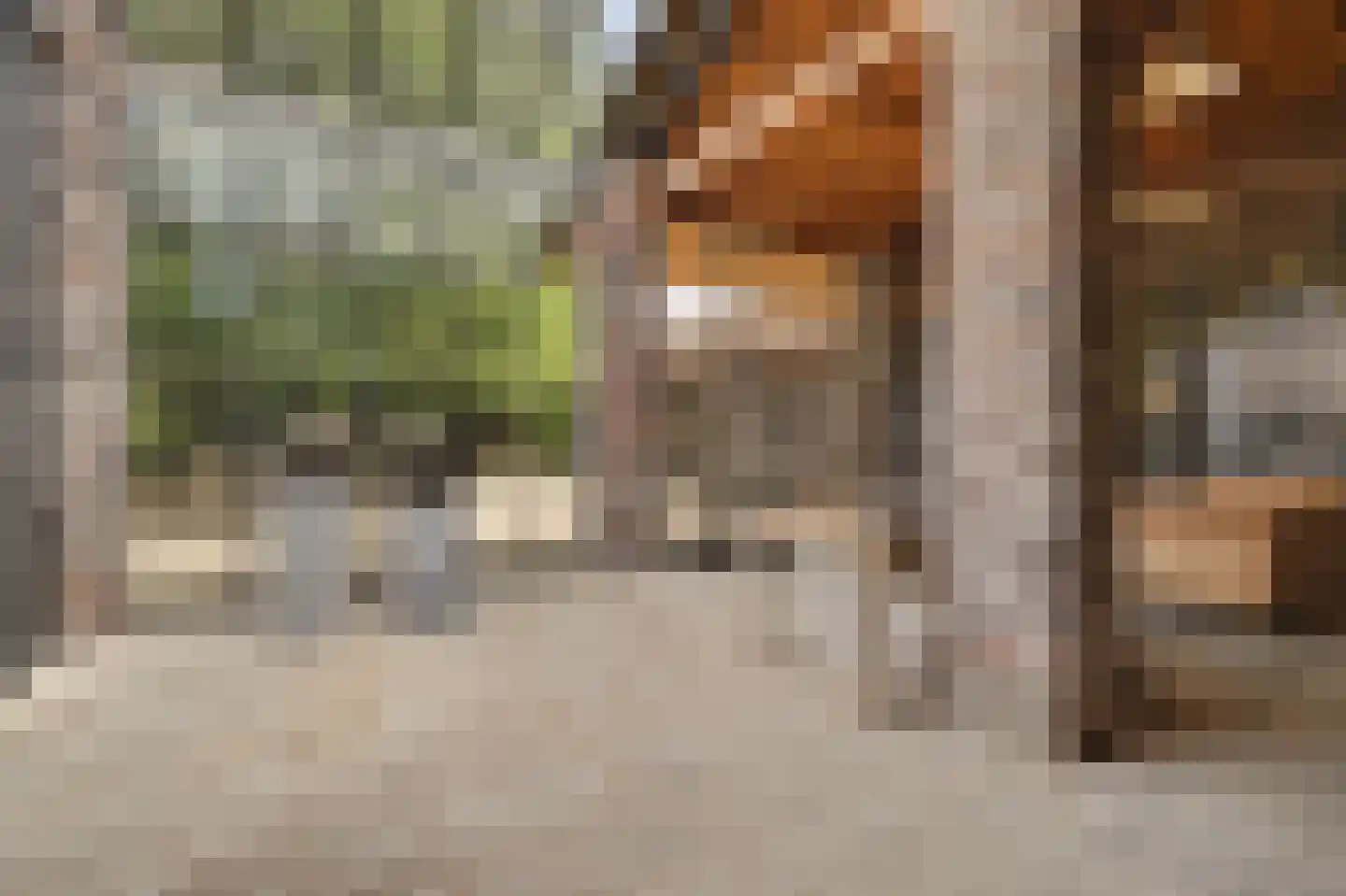 Legert 21 Swolgen thumbnail 22