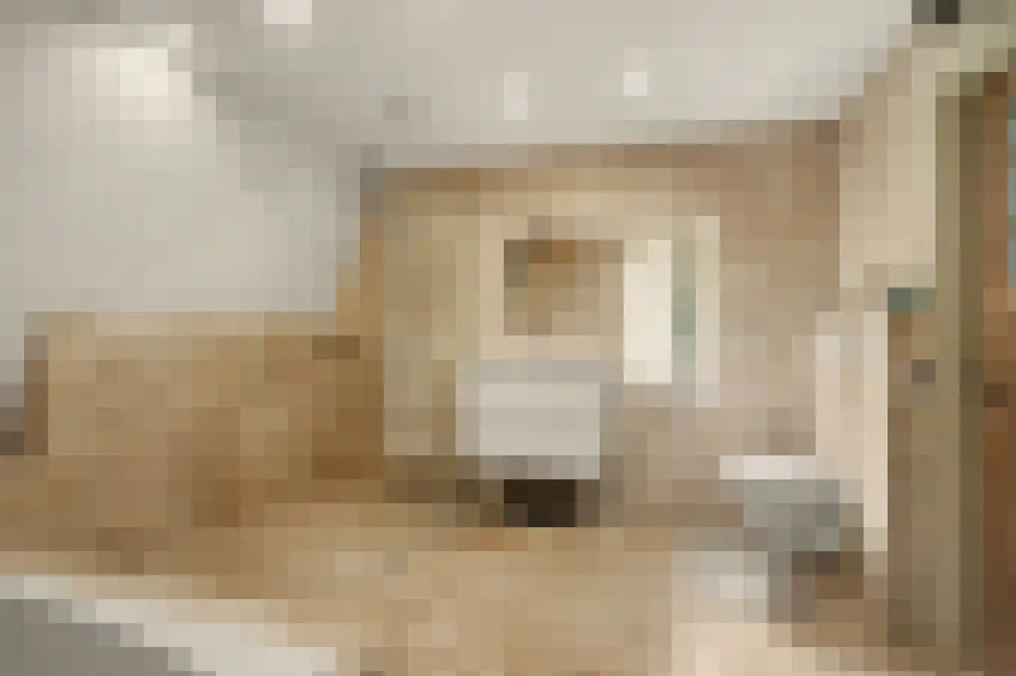 Legert 21 Swolgen thumbnail 28