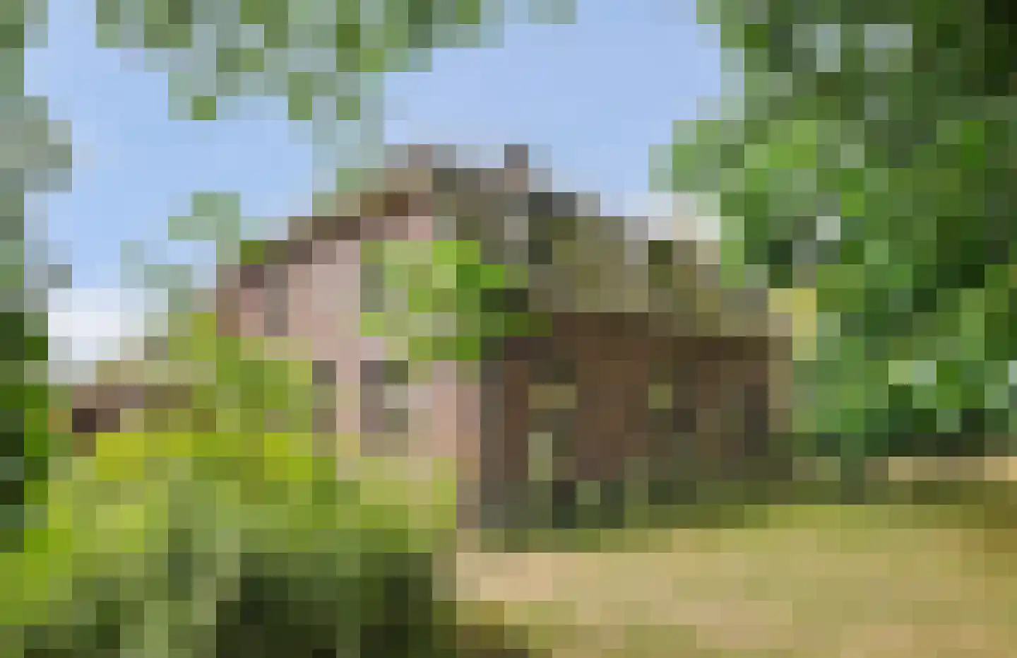 Legert 21 Swolgen foto 3
