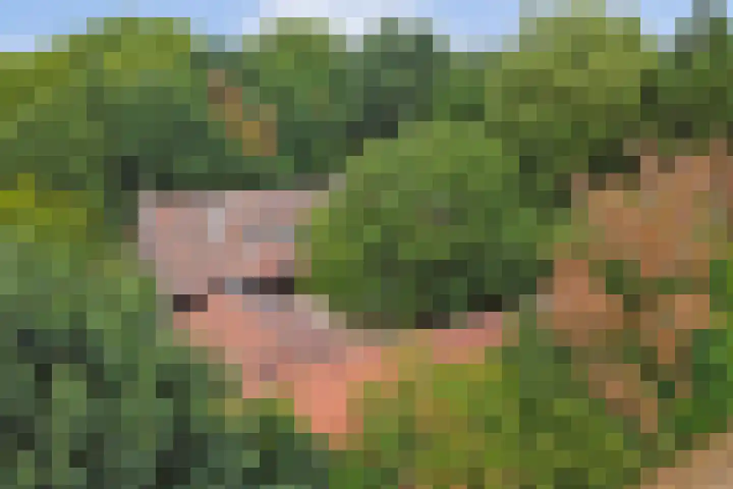 Legert 21 Swolgen thumbnail 33