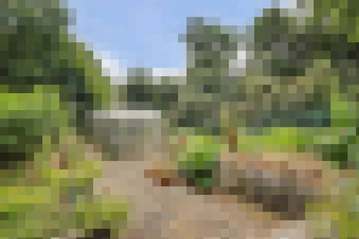 Legert 21 Swolgen thumbnail 35