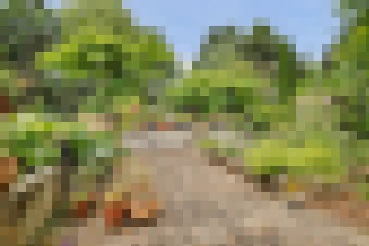 Legert 21 Swolgen thumbnail 36