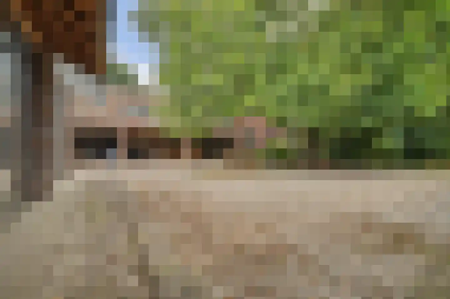 Legert 21 Swolgen thumbnail 4