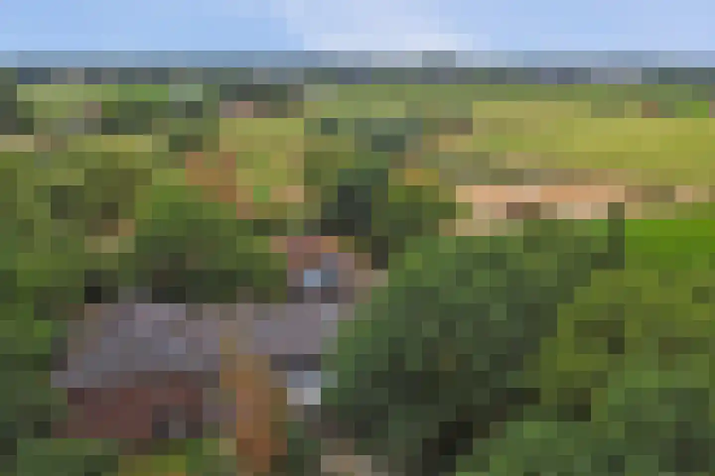 Legert 21 Swolgen thumbnail 41