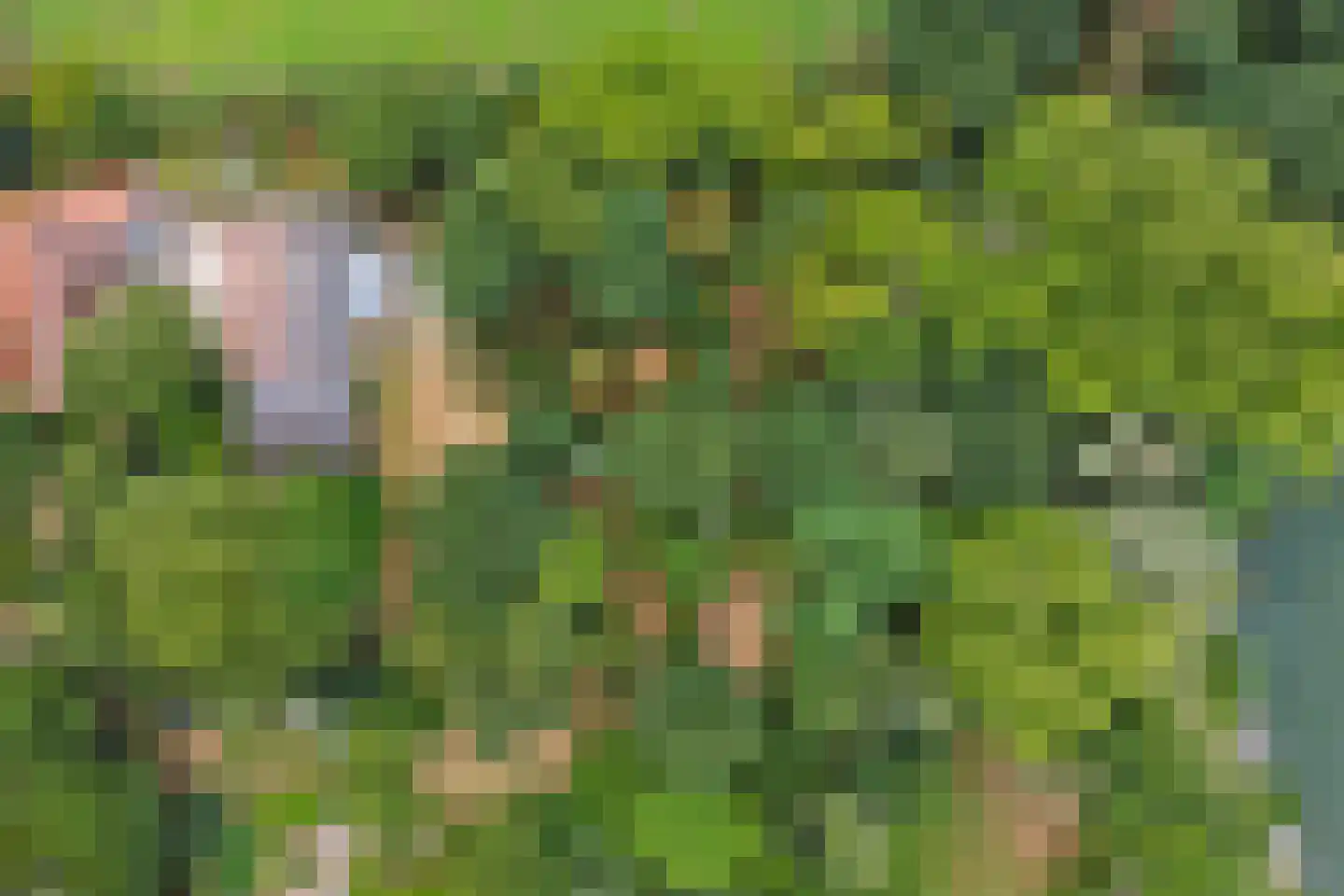 Legert 21 Swolgen thumbnail 42