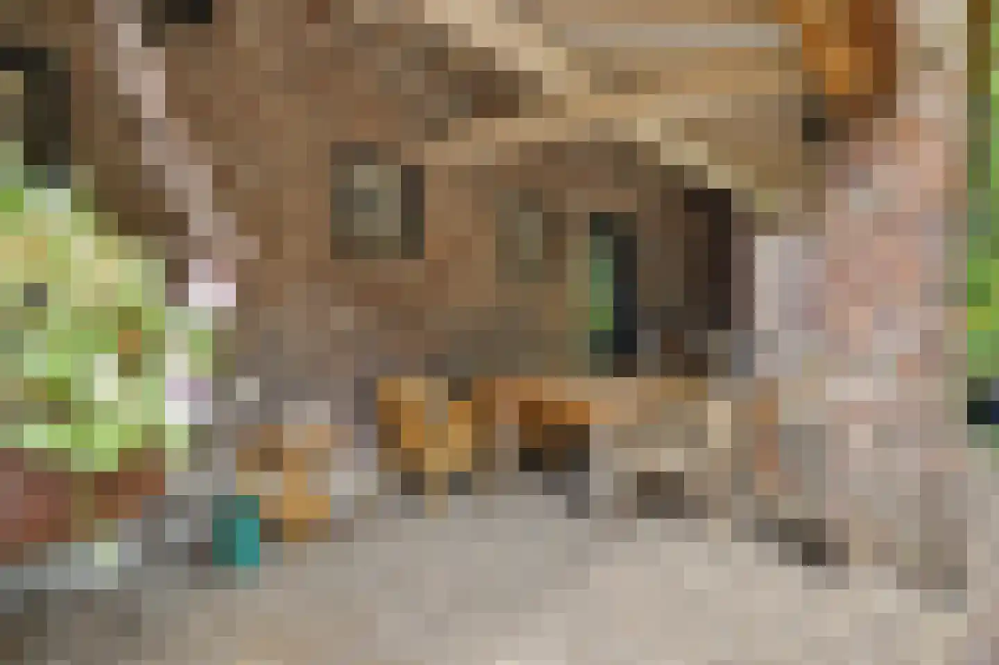 Legert 21 Swolgen thumbnail 5