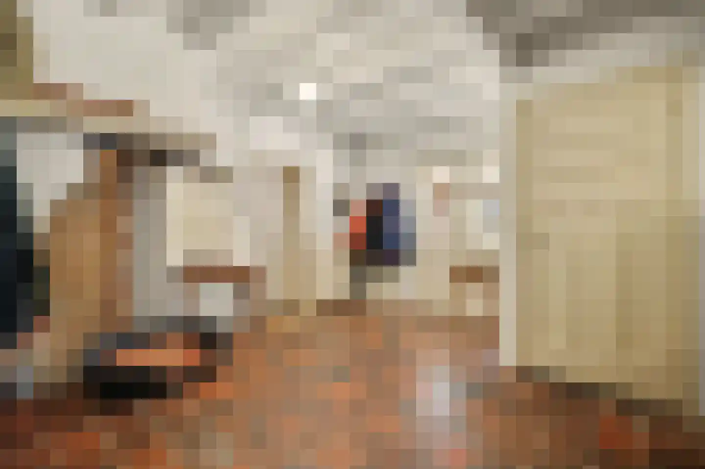 Legert 21 Swolgen thumbnail 7