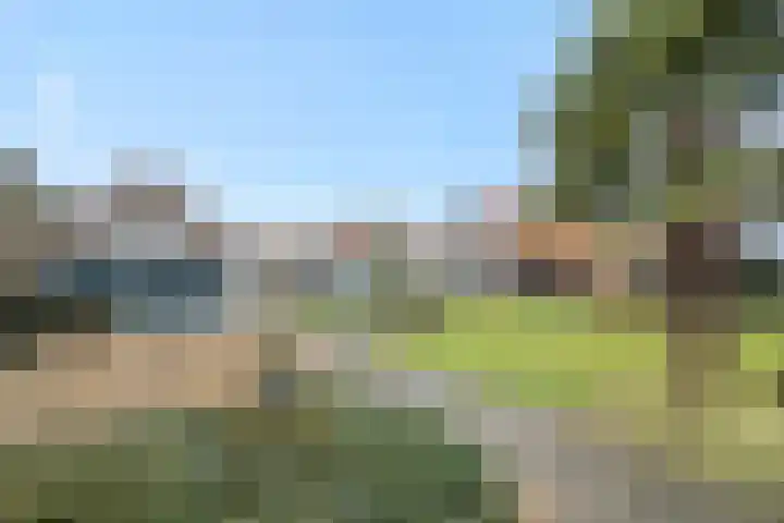 Legerweg 11 Deurne thumbnail 36
