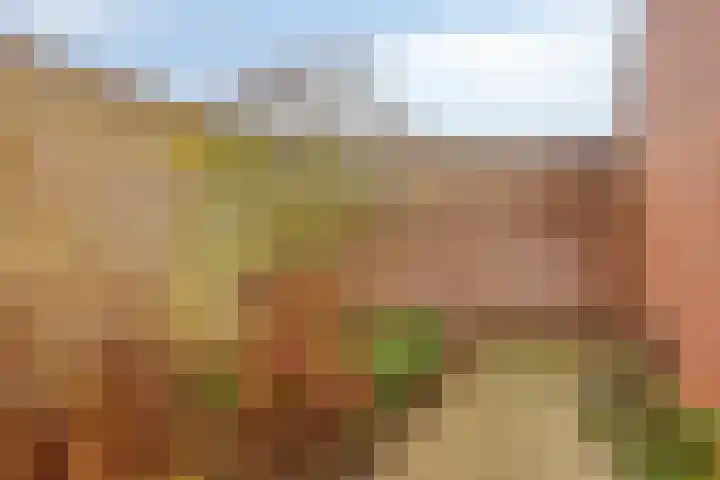 Legerweg 11 Deurne thumbnail 46