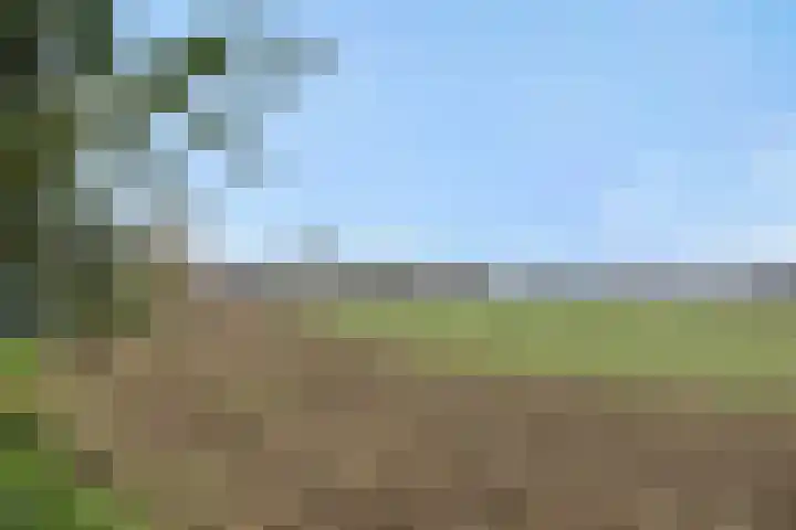 Legerweg 11 Deurne thumbnail 48
