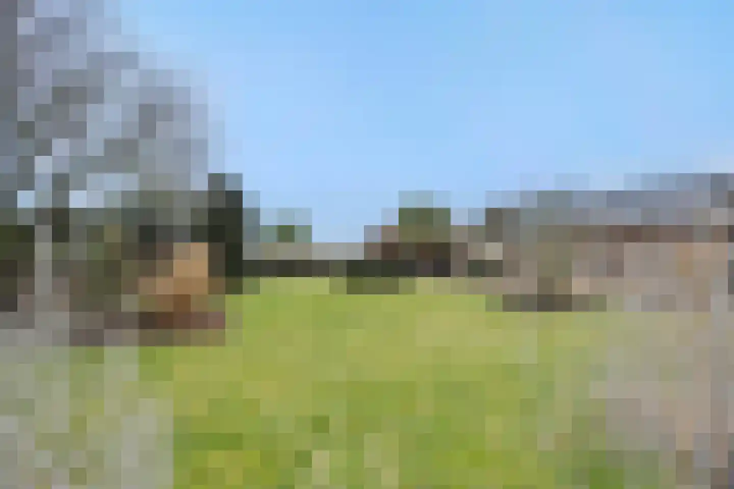 Legerweg 11 Deurne thumbnail 5