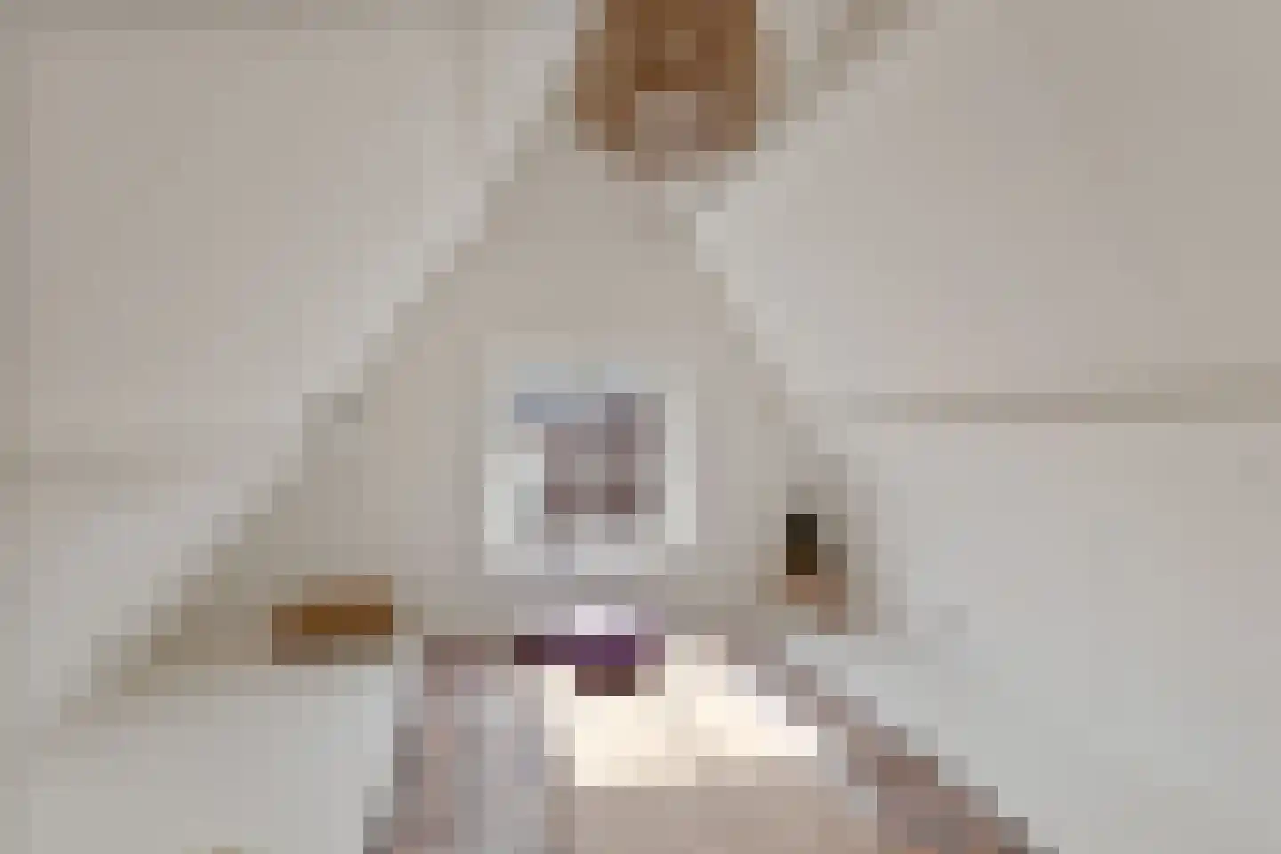 Legeweg 1 A Dokkum thumbnail 28
