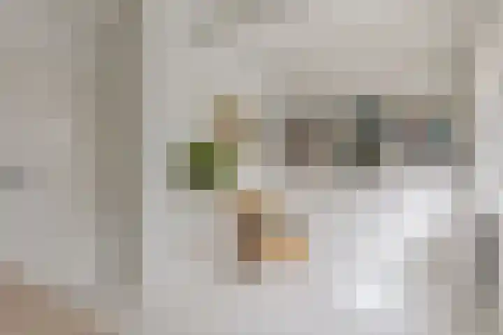 Legeweg 28 Dokkum thumbnail 22