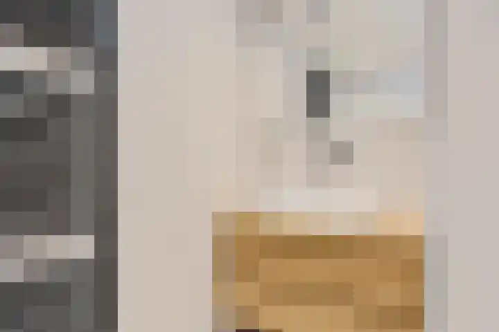 Legeweg 28 Dokkum thumbnail 29