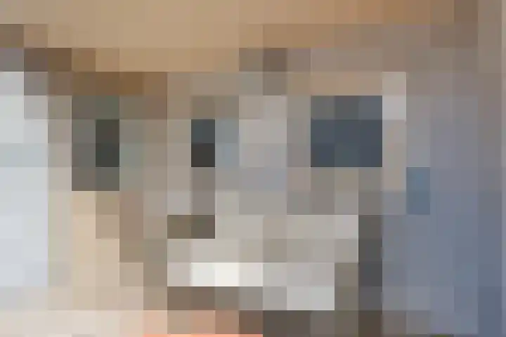 Legeweg 28 Dokkum thumbnail 32