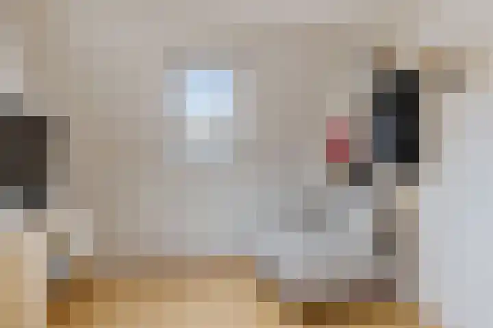 Legeweg 28 Dokkum thumbnail 37