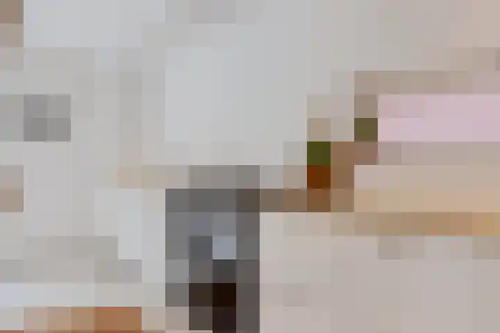 Legeweg 28 Dokkum thumbnail 8