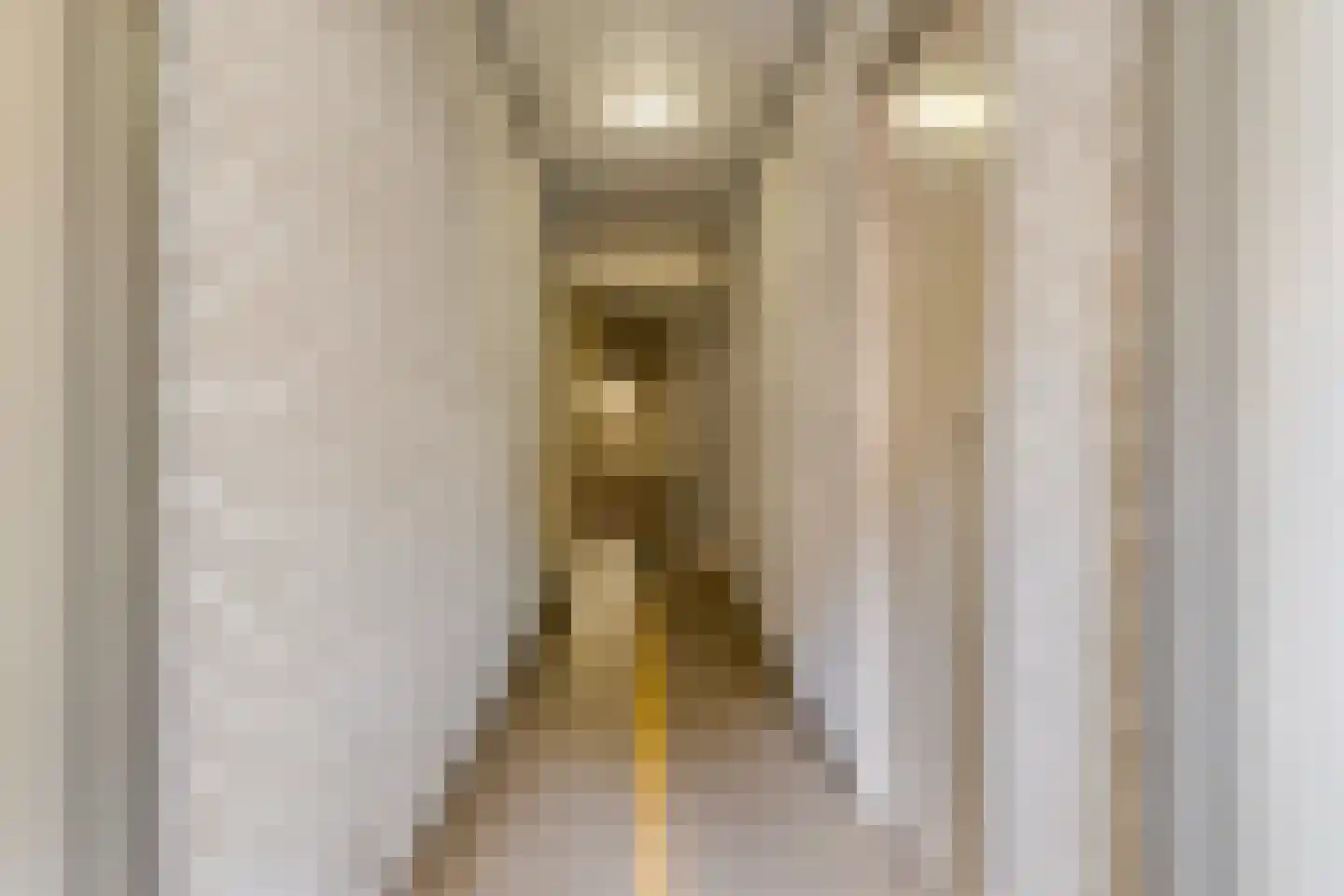 Legewerfsteeg 29 Leiden thumbnail 6