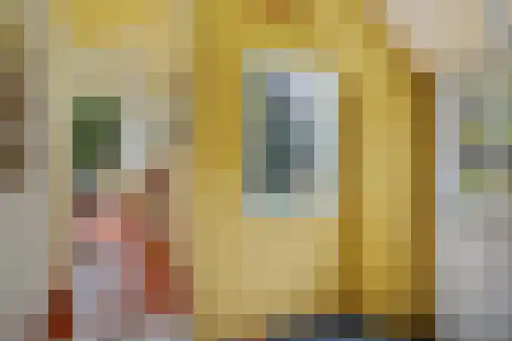 Leggelerstraat 8 Dwingeloo thumbnail 11