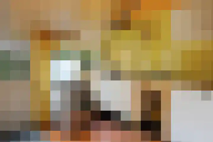 Leggelerstraat 8 Dwingeloo thumbnail 12