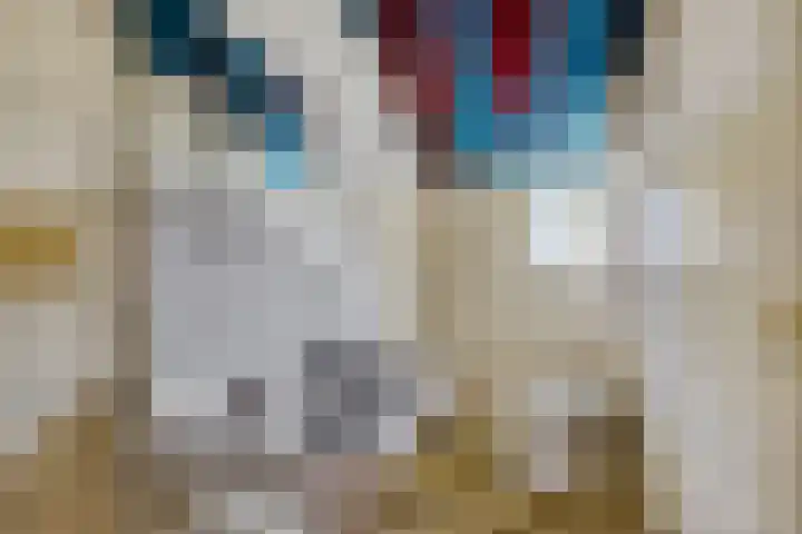 Leggelerstraat 8 Dwingeloo thumbnail 15
