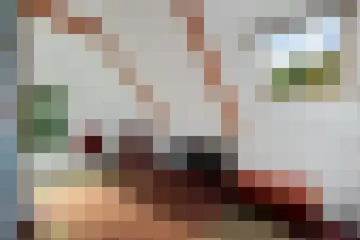 Leggelerstraat 8 Dwingeloo thumbnail 17