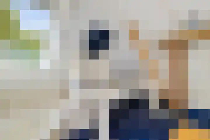 Leggelerstraat 8 Dwingeloo thumbnail 22