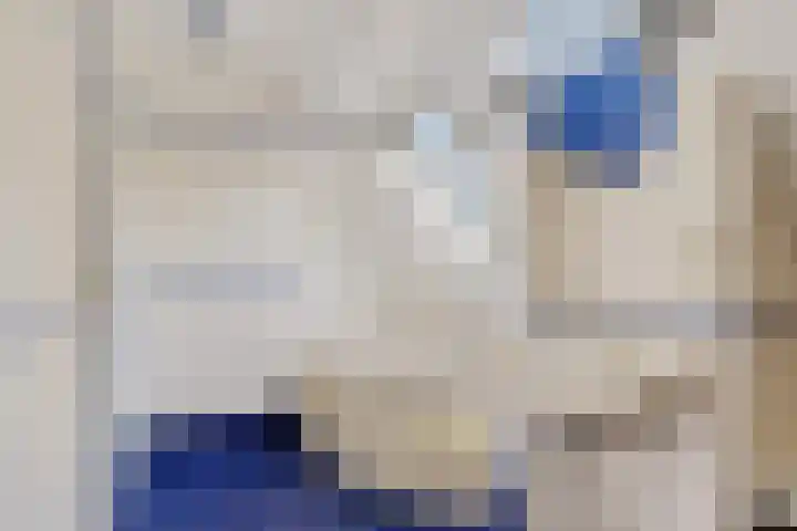 Leggelerstraat 8 Dwingeloo thumbnail 23