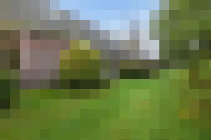 Leggelerstraat 8 Dwingeloo thumbnail 28