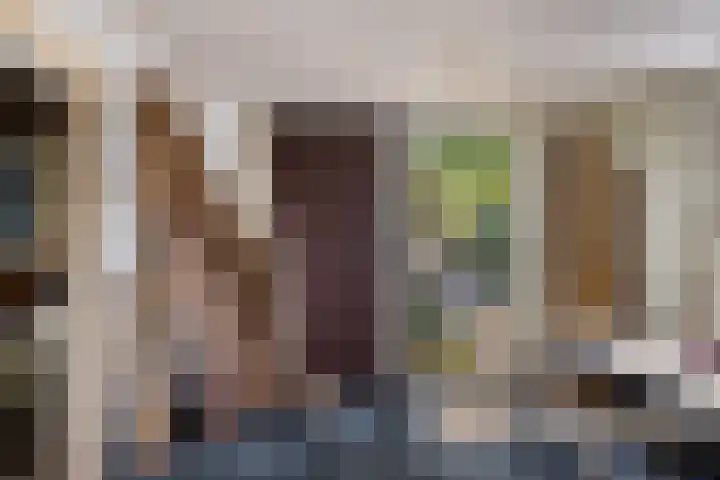 Leggelerstraat 8 Dwingeloo thumbnail 33