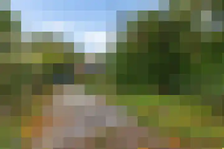 Leggelerstraat 8 Dwingeloo thumbnail 37