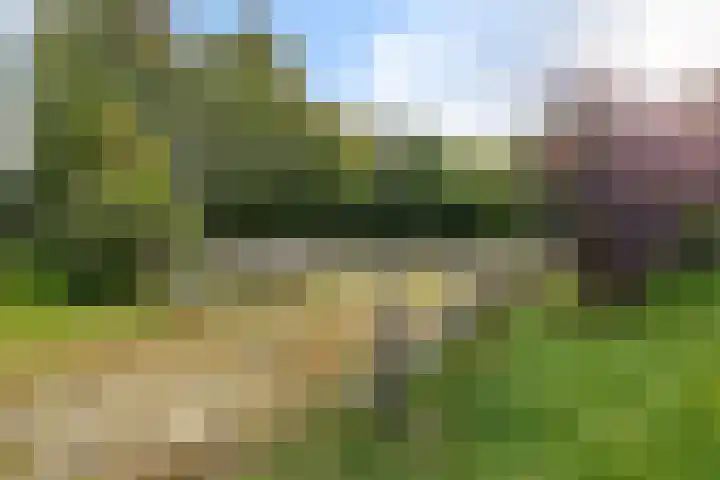 Leggelerstraat 8 Dwingeloo thumbnail 39