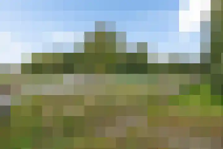 Leggelerstraat 8 Dwingeloo thumbnail 40