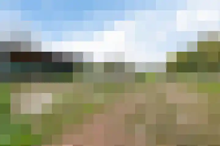 Leggelerstraat 8 Dwingeloo thumbnail 41