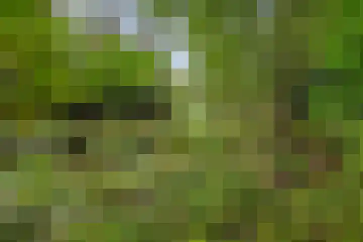Leggelerstraat 8 Dwingeloo thumbnail 45